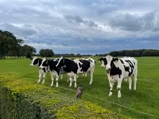 Overnachten bij De Beekzijde in Overijssel via JeZoektIetsLeuks