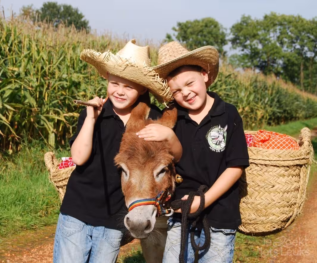 Overnachten bij Ezelgasterij aan de Maasheggen in Noord-Brabant via JeZoektIetsLeuks