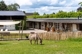 Overnachten bij Ezelgasterij aan de Maasheggen in Noord-Brabant via JeZoektIetsLeuks