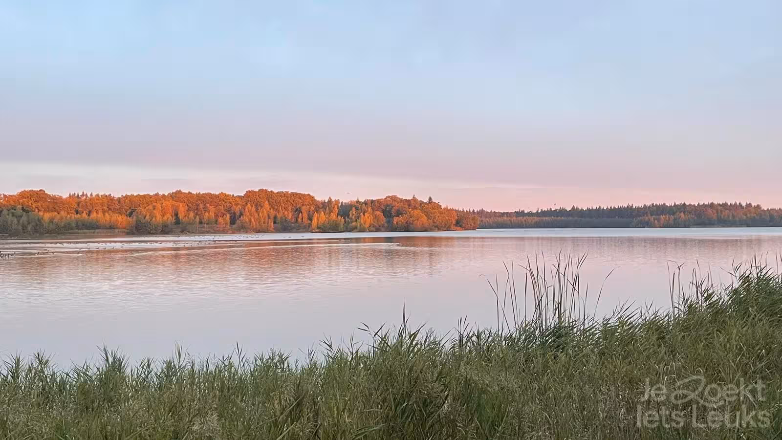 Overnachten bij Het Voshuys luxe accommodatie 8-30 personen in Drenthe via JeZoektIetsLeuks