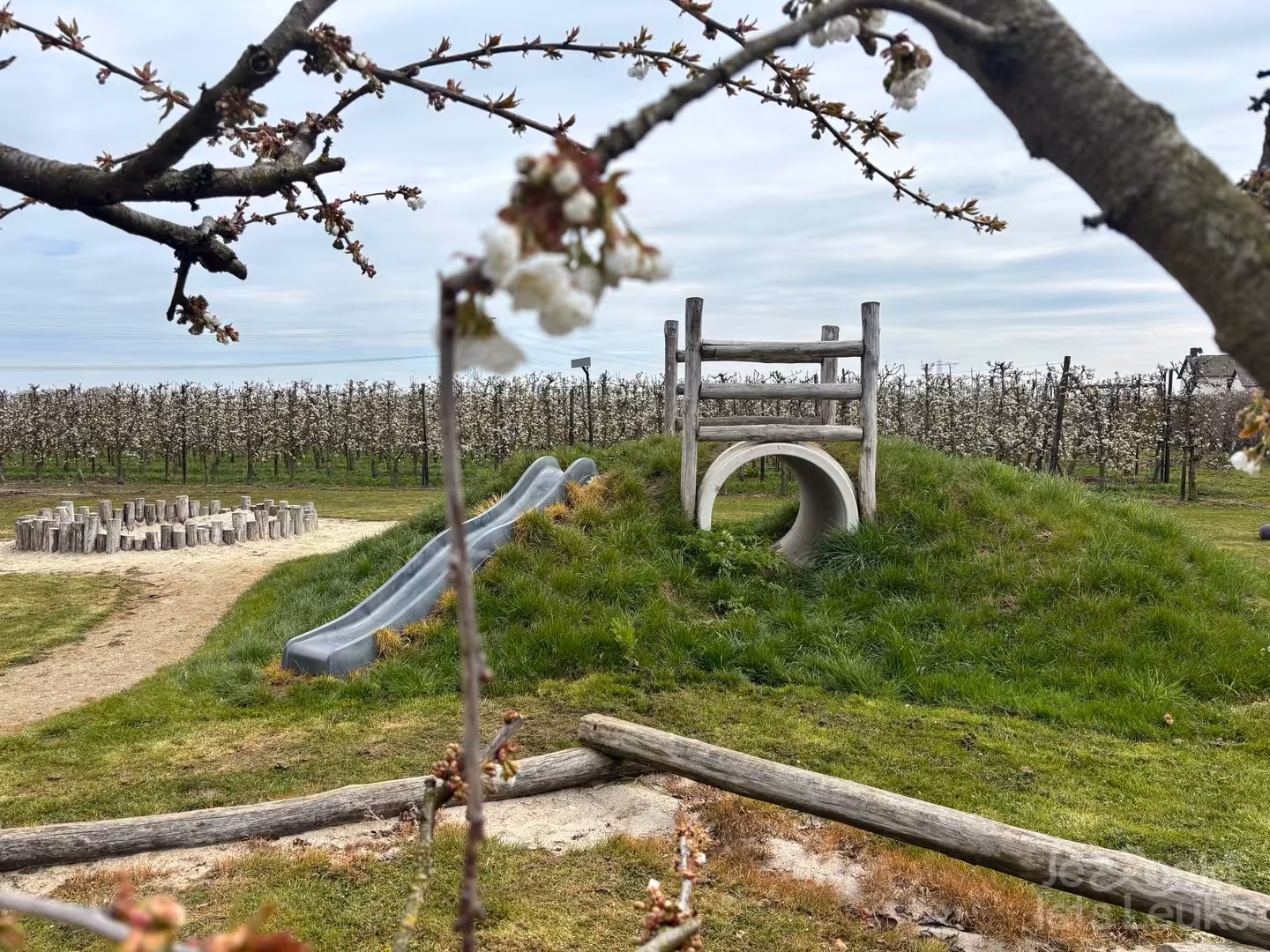 Overnachten bij Wijnhuis Baarlo in Limburg via JeZoektIetsLeuks