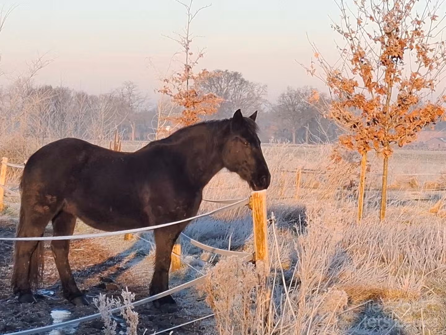Overnachten bij De Kunstboerderij in Gelderland via JeZoektIetsLeuks