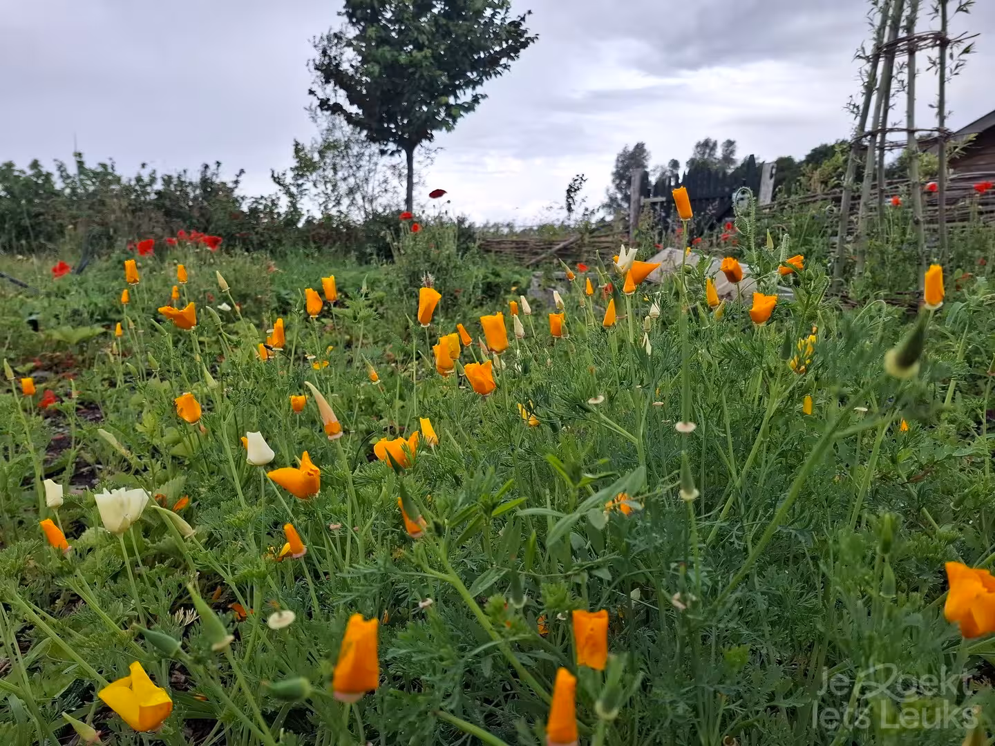 Overnachten bij De Kunstboerderij in Gelderland via JeZoektIetsLeuks