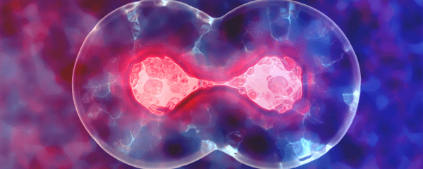 Why Patients Choose Stem Cell Treatment in Turkey ?