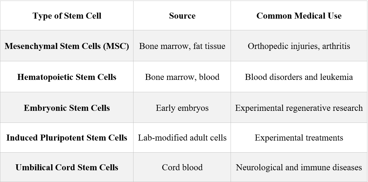 Types of Stem Cells Used in Medical Treatments