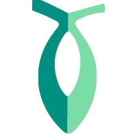 afiansys logo