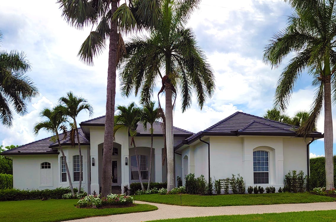 A white house with palm treesAI-generated content may be incorrect.