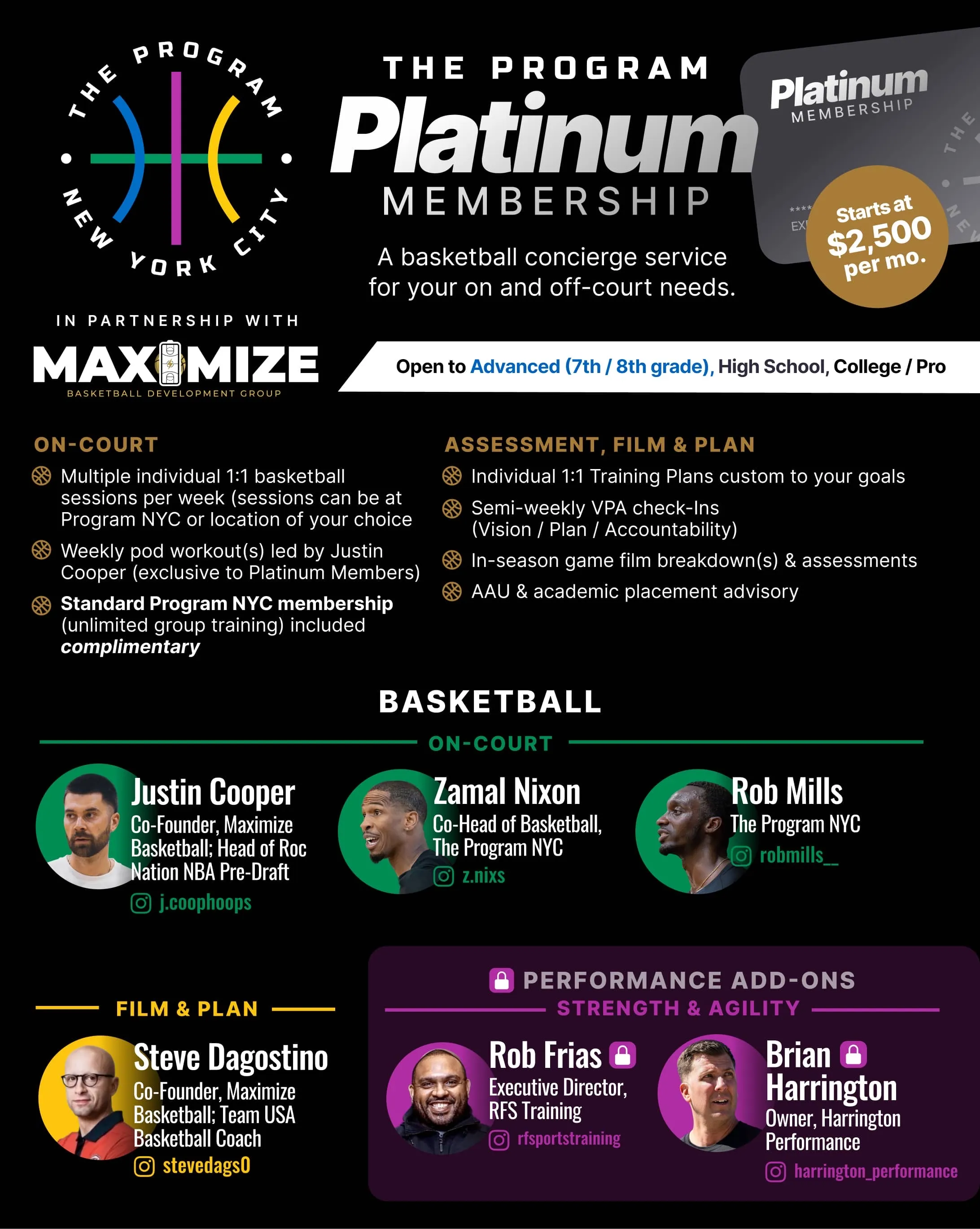The Program NYC Platinum Membership basketball concierge service flyer featuring personalized 1-on-1 training, weekly workouts, film breakdown, player development planning, placement advisory, and optional strength, agility, and mental performance coaching.