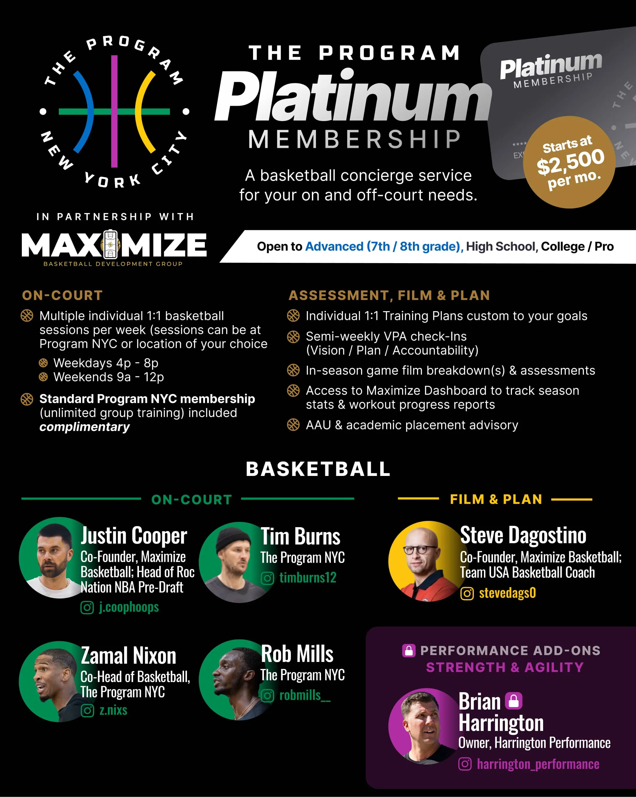 The Program NYC Platinum Membership basketball concierge service flyer featuring personalized 1-on-1 training, weekly workouts, film breakdown, player development planning, placement advisory, and optional strength, agility, and mental performance coaching.