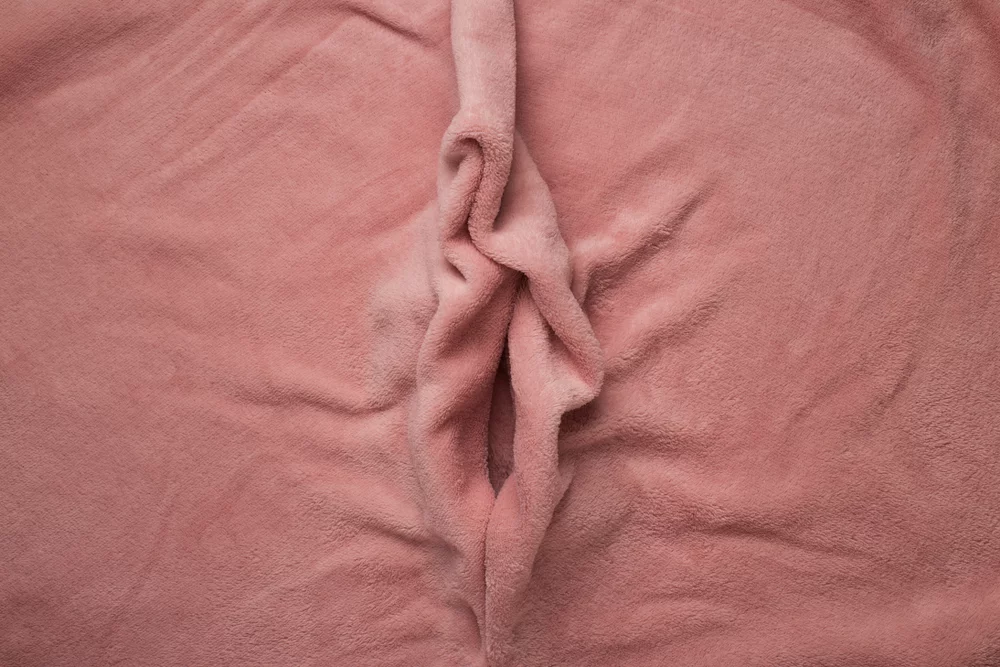 Pink fabric in the shape of a symmetrical labia.