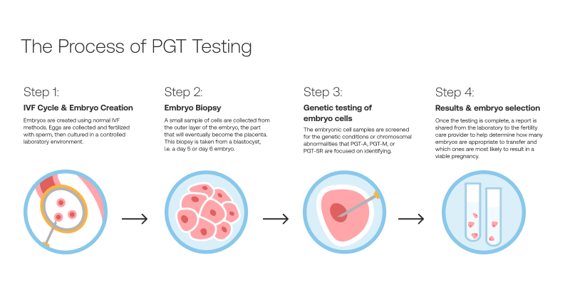 Process of PGT testing flow chart