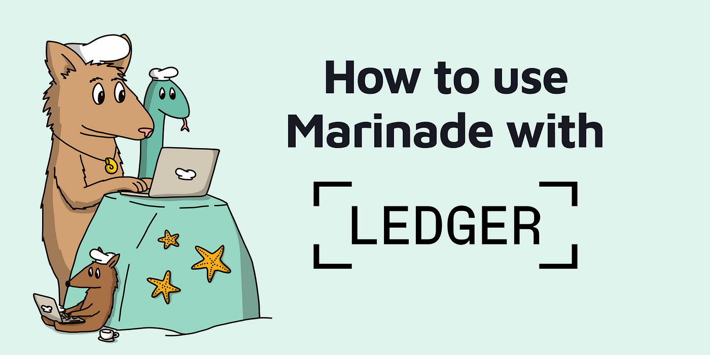 How to use Marinade with a Ledger wallet