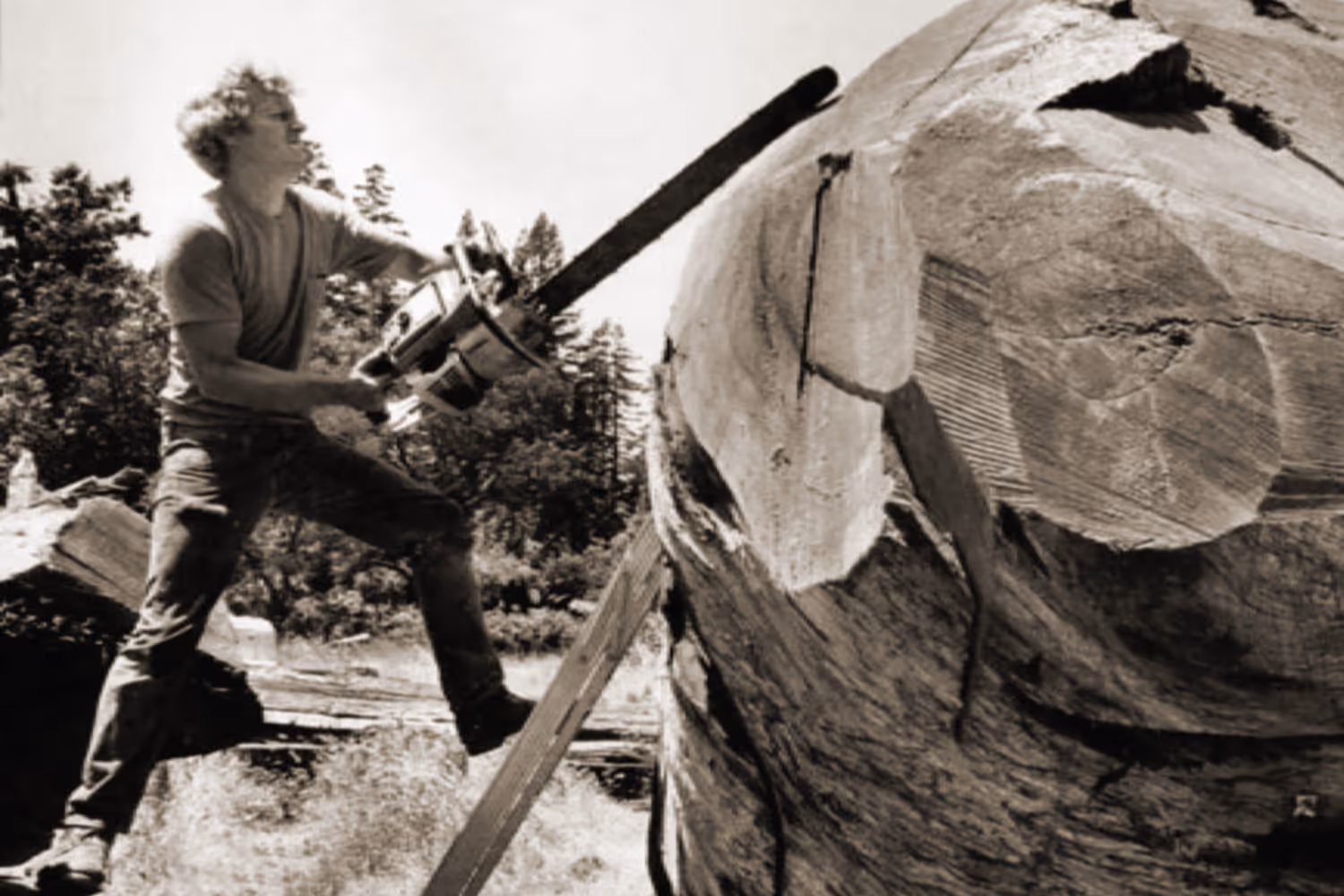 An image of Bruce Johnson sculpting wood with a chainsaw.