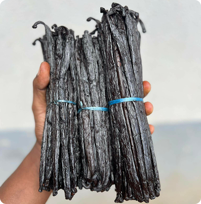 vanille noire gourmet