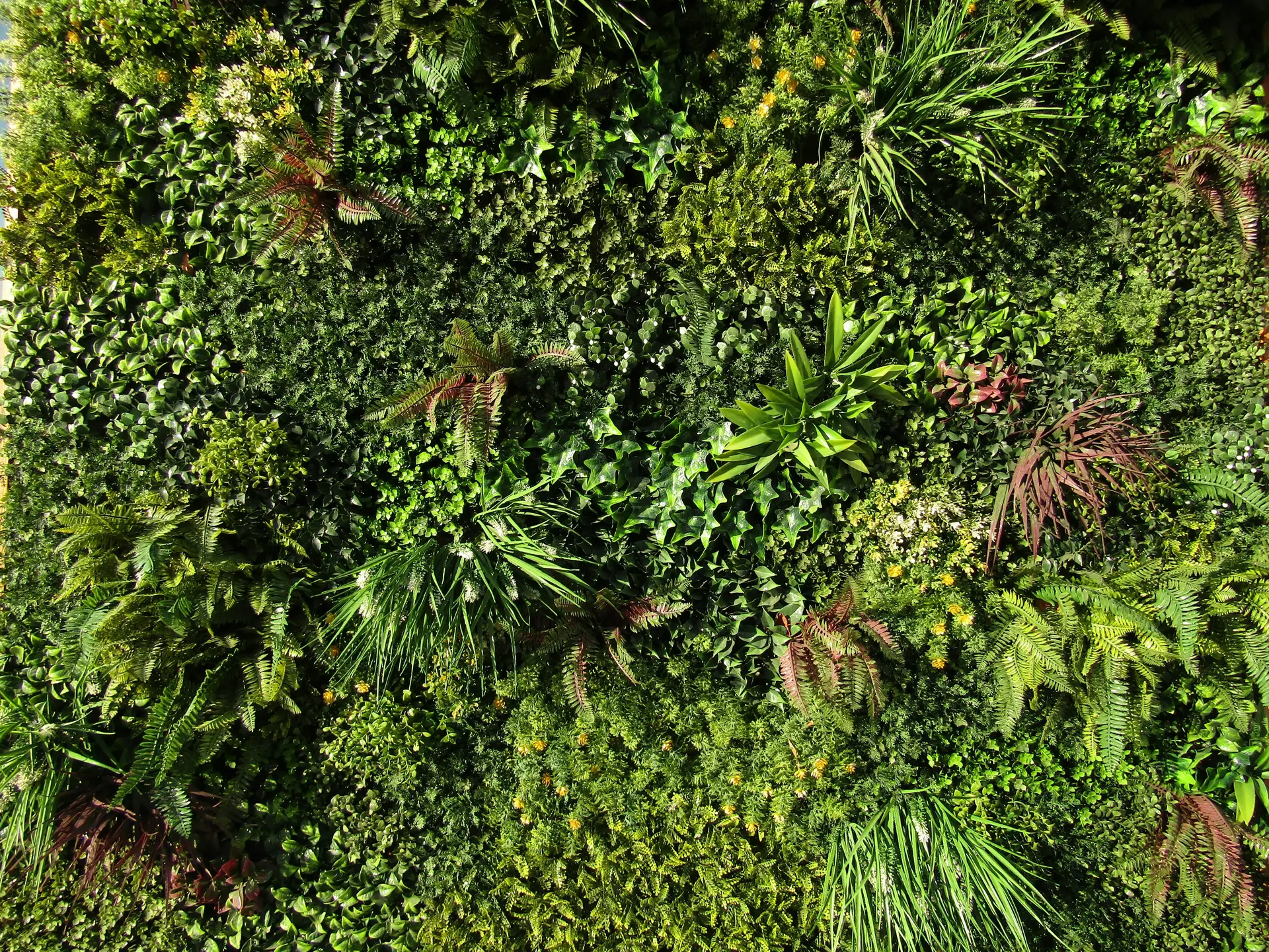 REEAM Certification Guide: Ratings, Costs & Process