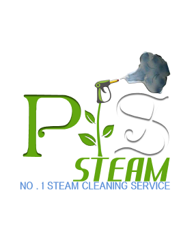 ProSteam Logo
