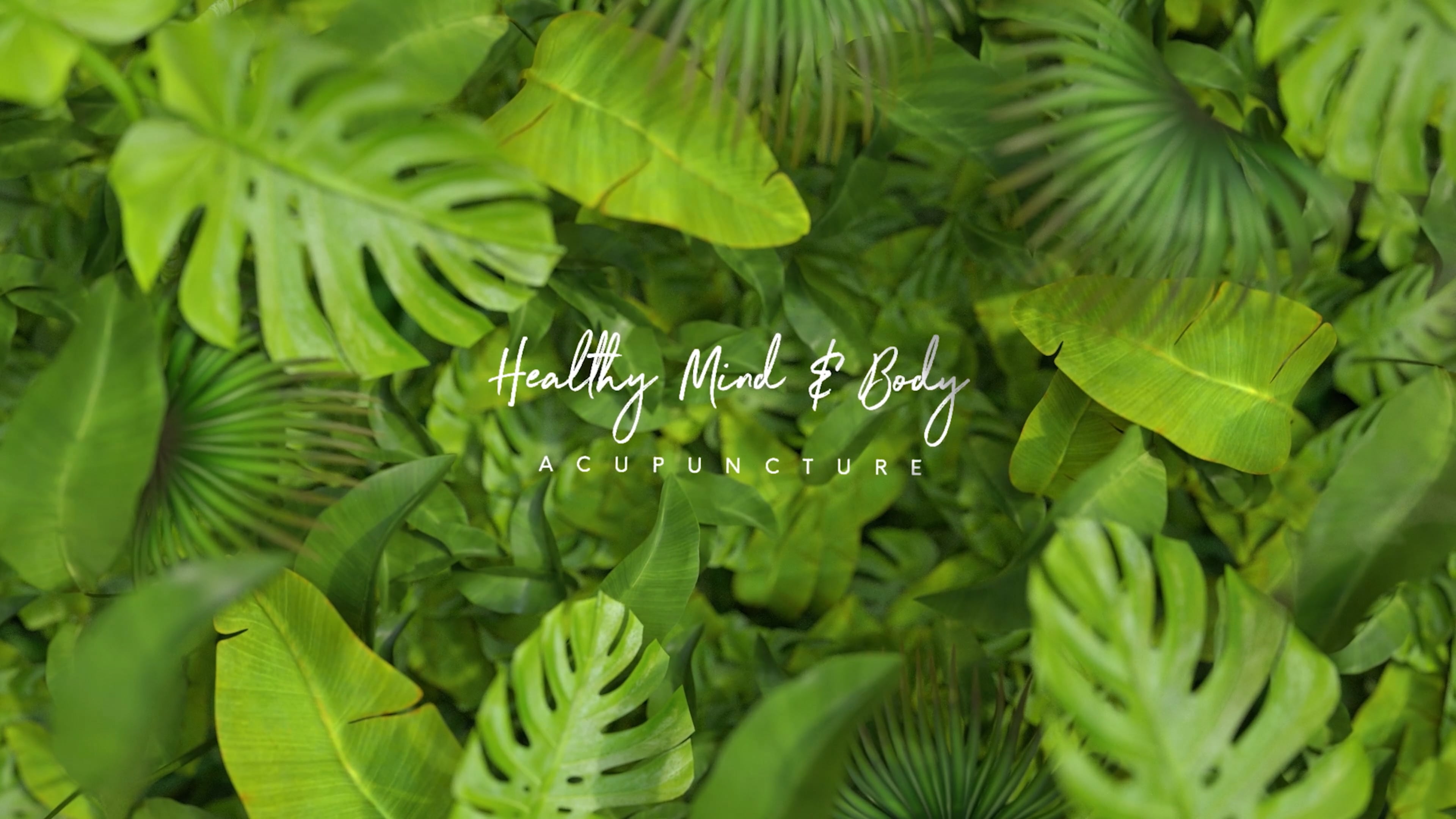 Healthy Mind and Body Acupunture