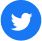Twitter Icon