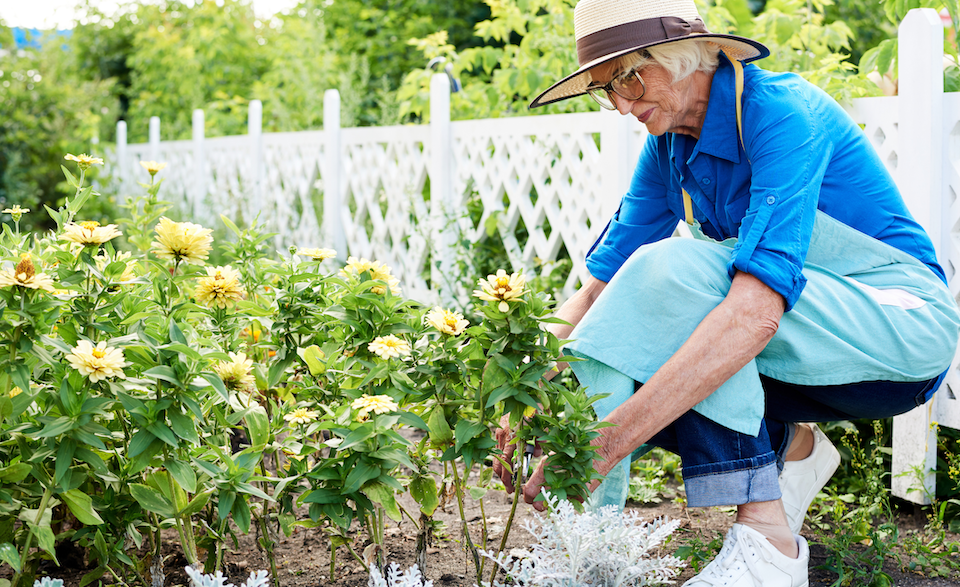 Spring Forward with Purpose: Discover GetSetUp’s April Series