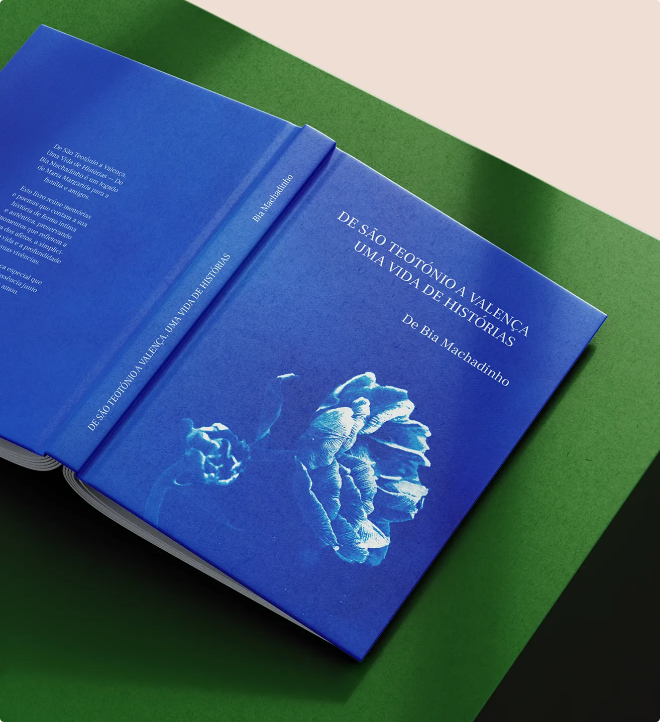 Blue book cover. Title : 'De são teotónio a valençauma vida de histórias'.