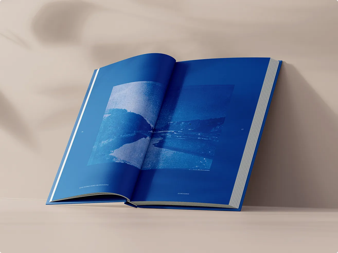 Open book with blue pages and cyanotype image.