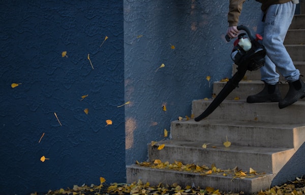 stairs being blown down by a leaf blower