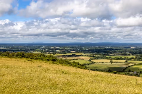 Sussex: The Weald