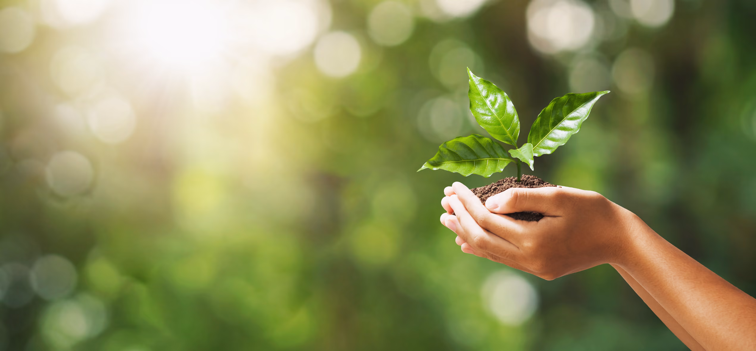 Better Planet Education partners with Green Sustainability Magazine
