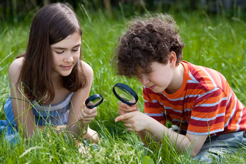 Nature's Curriculum