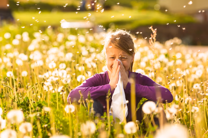 Climate Change and Hayfever