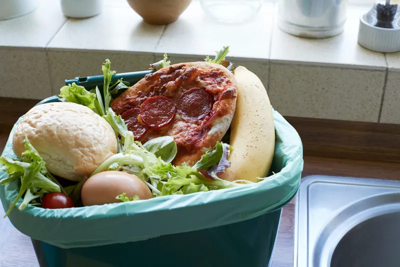 What can your leftovers do? Food waste bins and their success