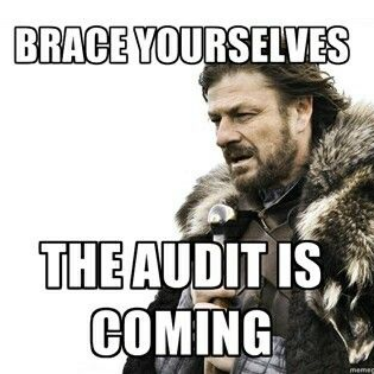 A meme featuring the "Brace Yourselves" character from Game of Thrones, with the superimposed white text caption that reads: "BRACE YOURSELVES THE AUDIT IS COMING."