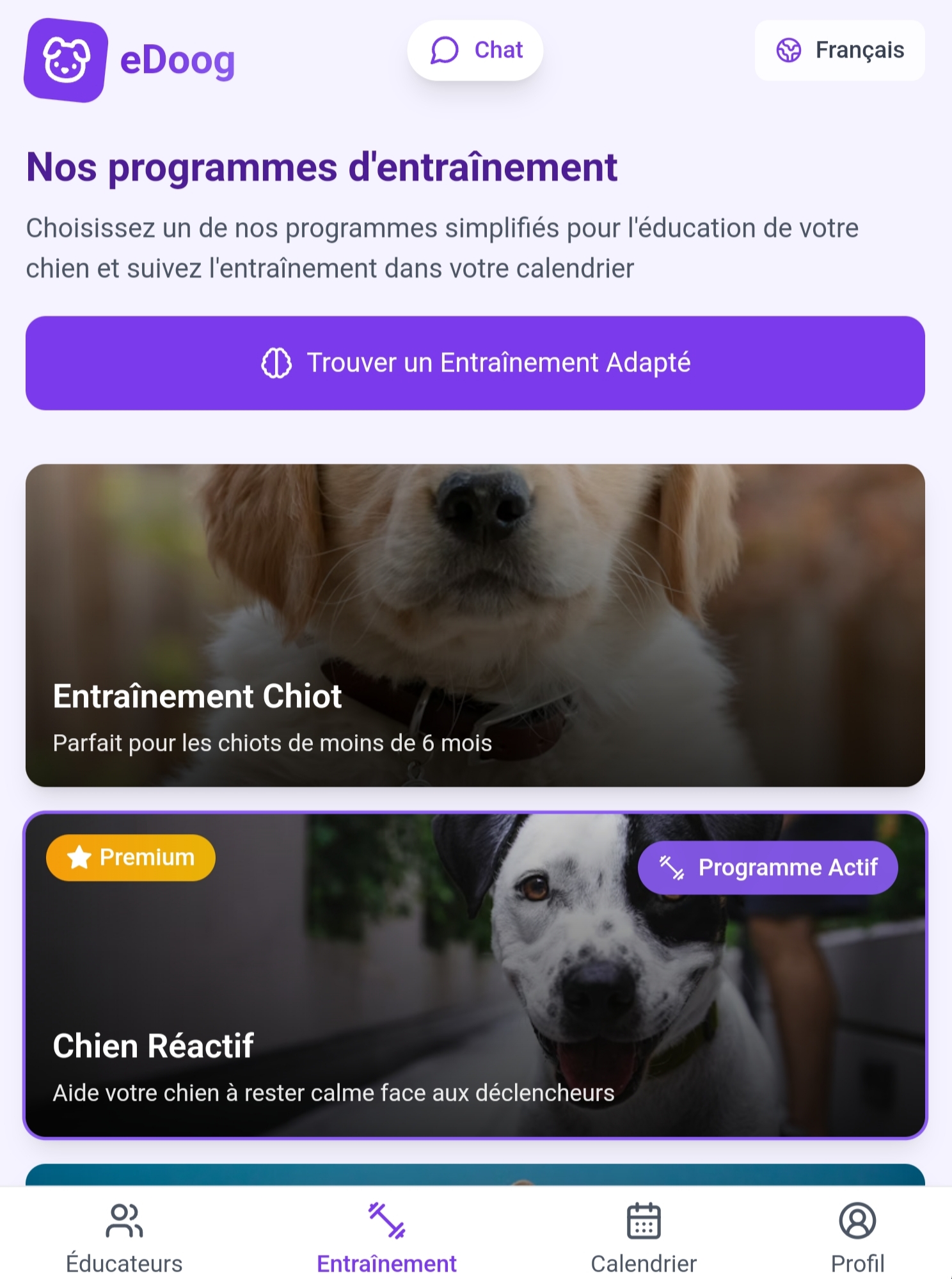 Interface des programmes d'entraînement