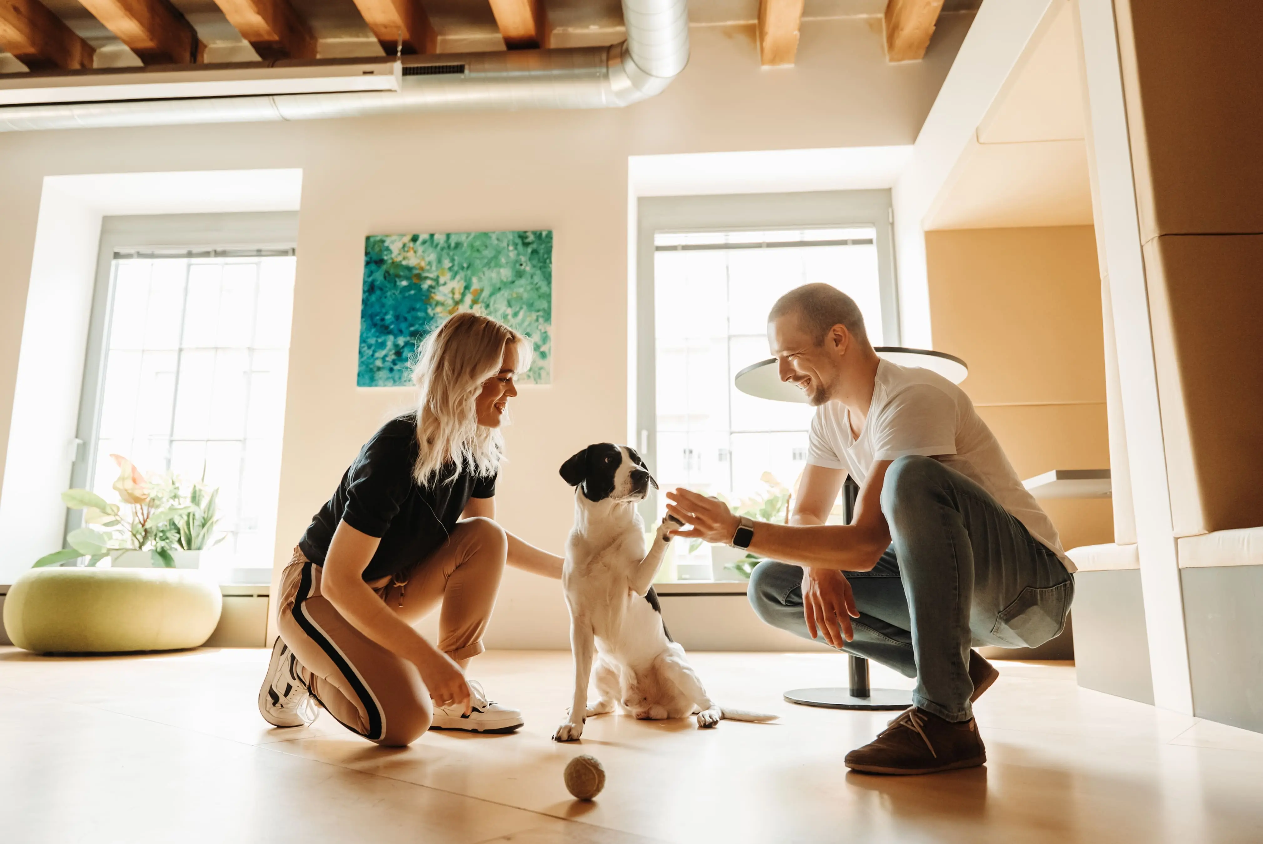 The Dog Friendly Office of Etnetera Flow