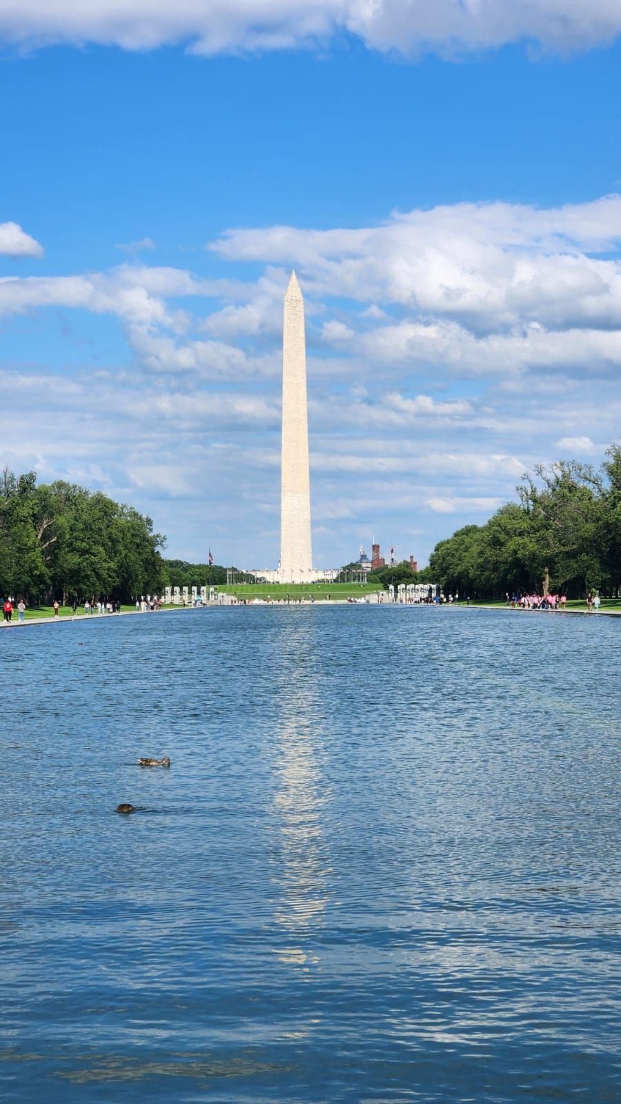 mosaic forum trip photo 5