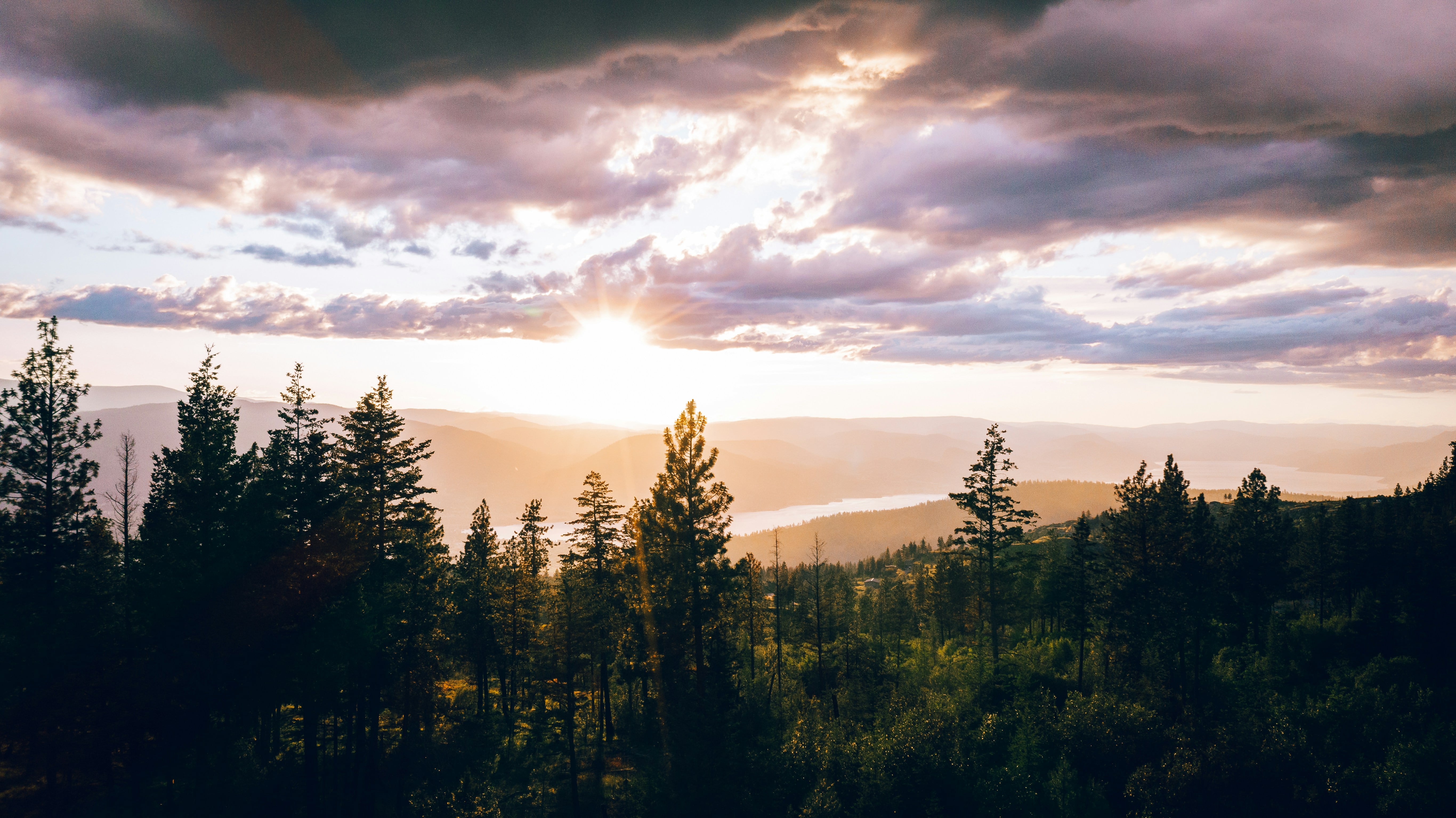 Autumn sunset over pine forest and a distant lake