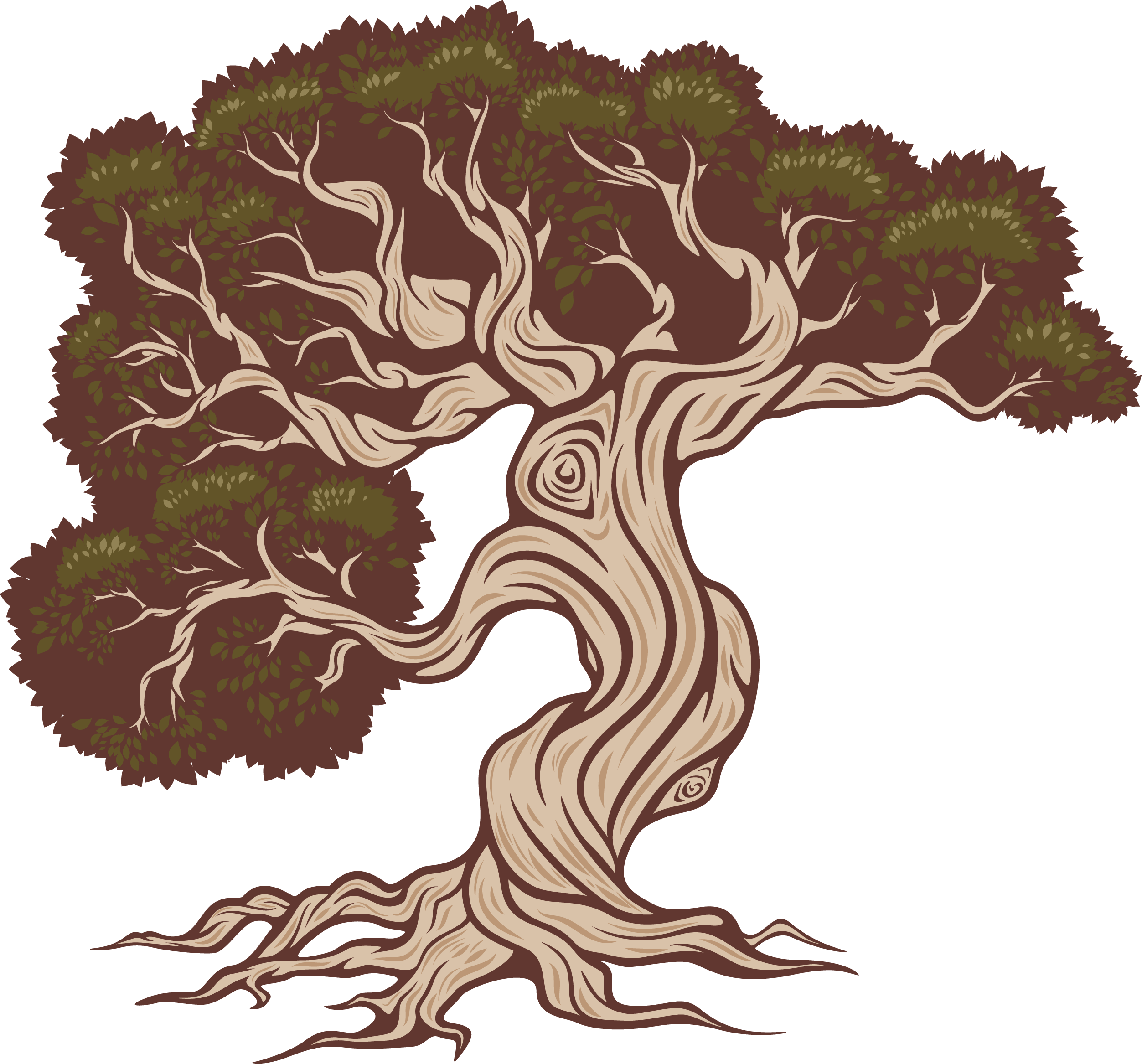 Illustration of tree