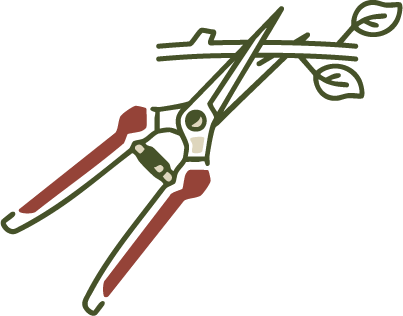 Pruning sheers
