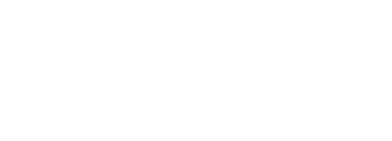 Air Ambulance logo