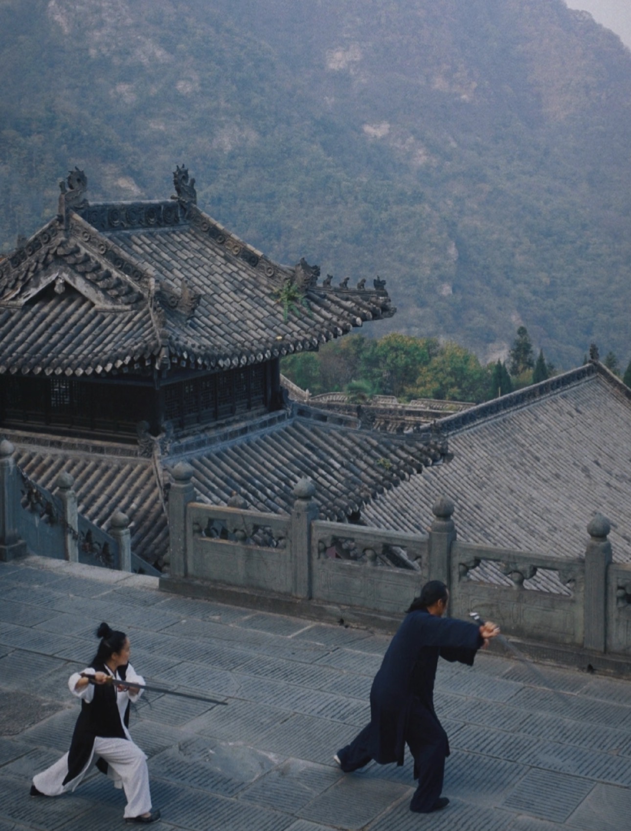 We offer not only this journey, but also fully customized experiences ranging from a single day to several months or even years, tailored to your interests and goals.