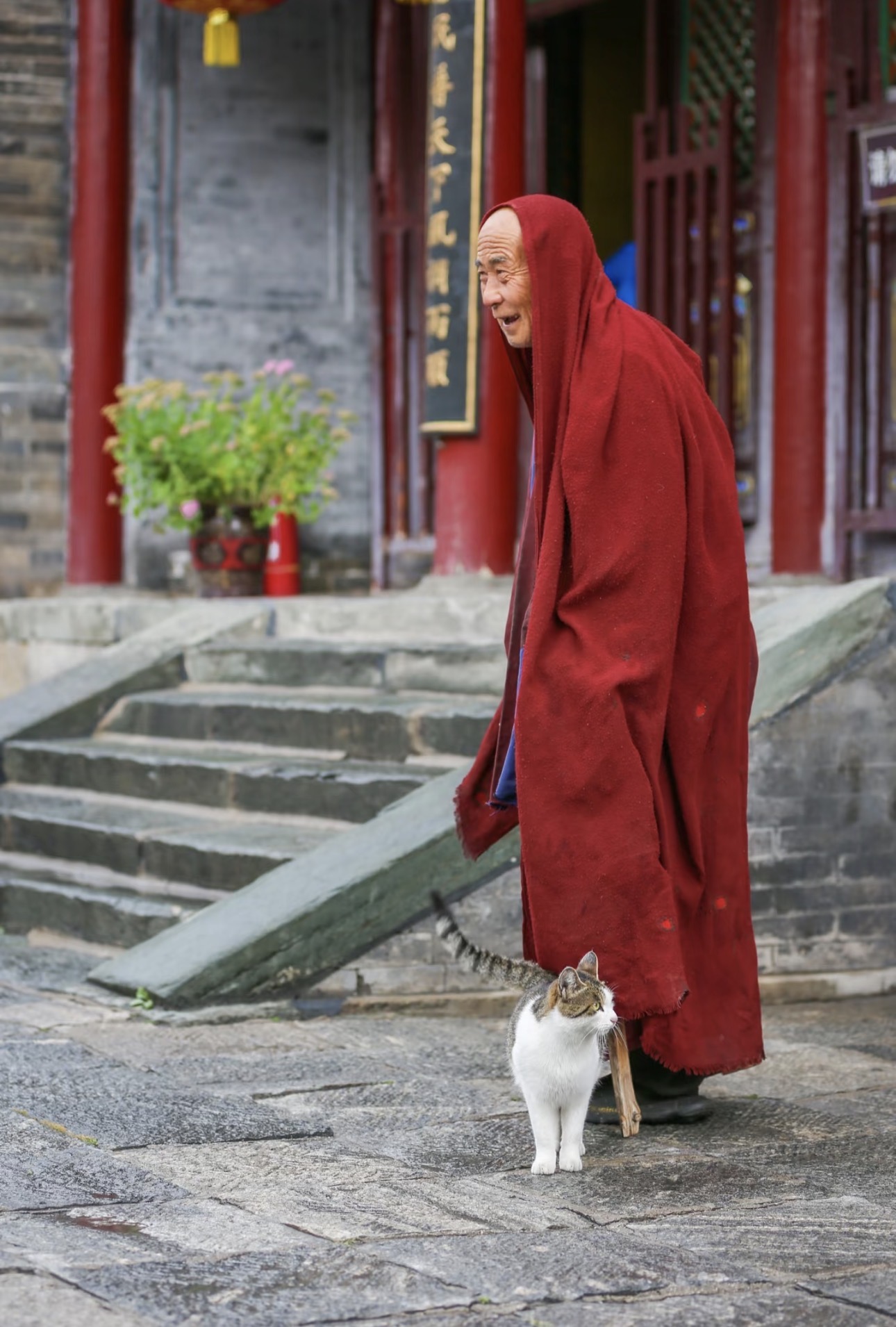 We offer not only this journey, but also fully customized experiences ranging from a single day to several months or even years, tailored to your interests and goals.