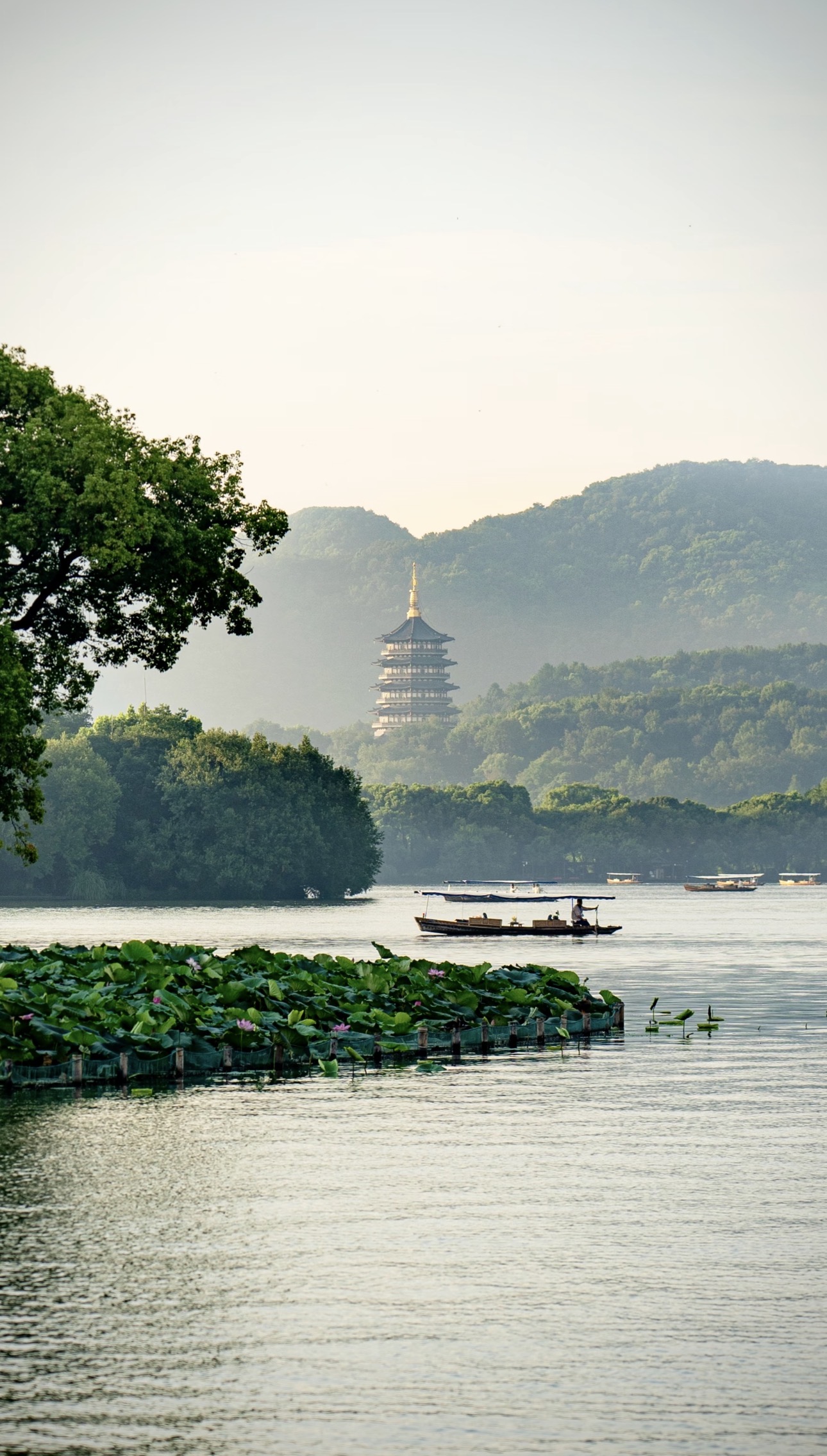 An 8-day private journey through Beijing, Hangzhou, and Shanghai that weaves together classic icons like the Forbidden City, the Great Wall, and West Lake with hands-on glimpses of robots, drones, and next-generation transport in China’s most forward-looking cities.