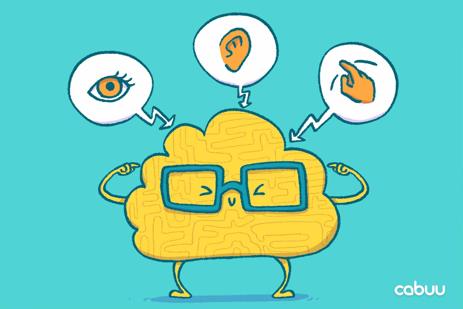 Das Gehirn lernt mit allen Sinnen