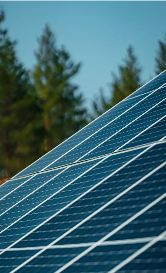 A close up of a solar panel with trees in the background.