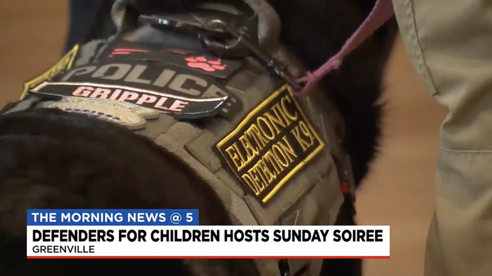 Defenders for Children hosts Sunday Soiree