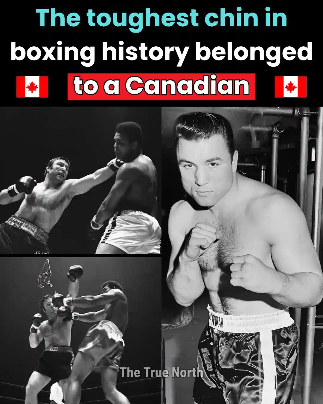 George Chuvalo boxing montage with Canadian flags and overlaid text