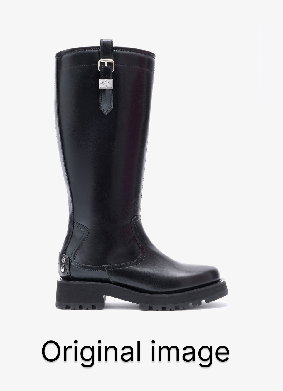 Original image used for AI