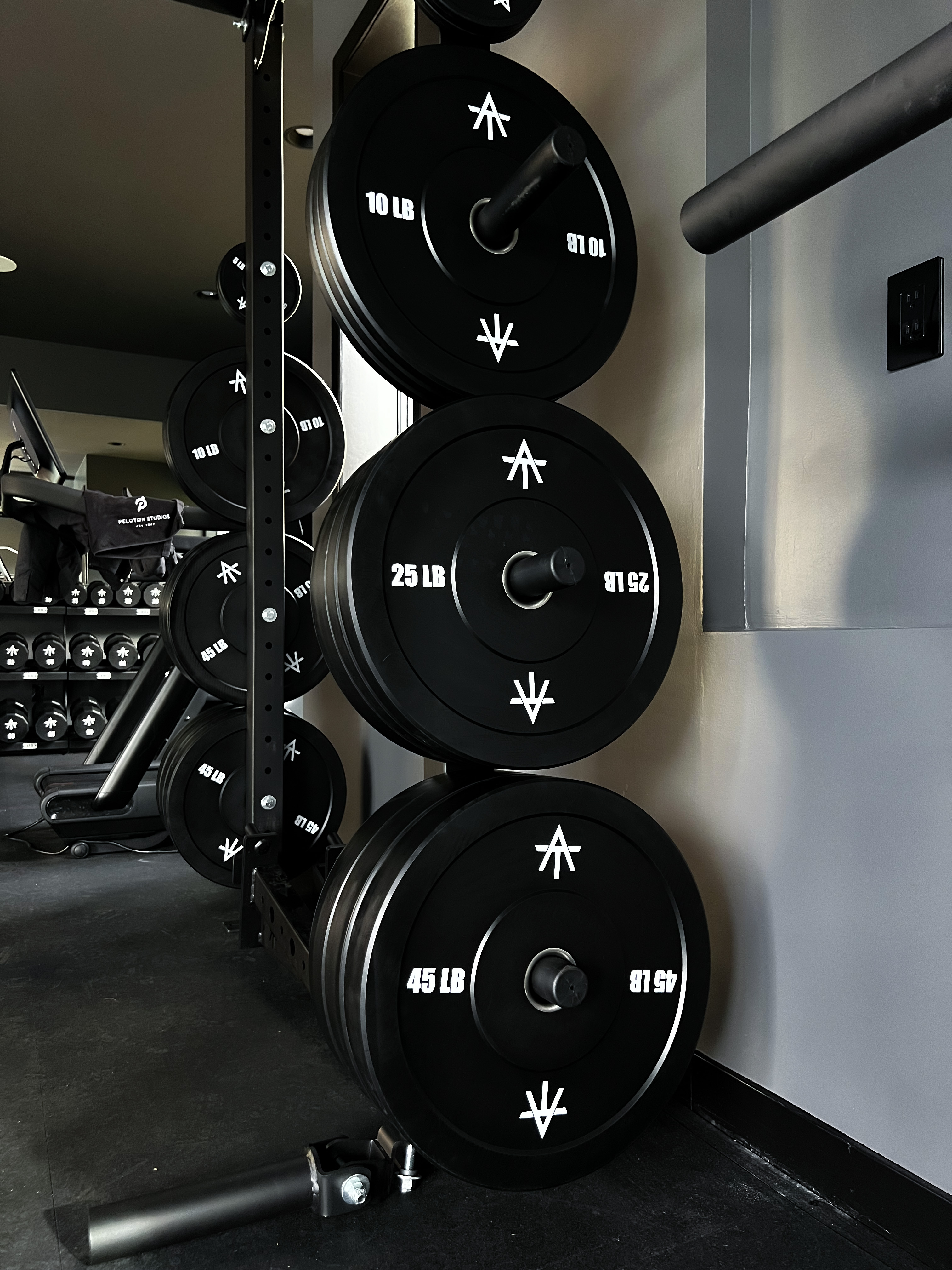 Alex Toussaint home gym design gallery — by SPX Gym Design