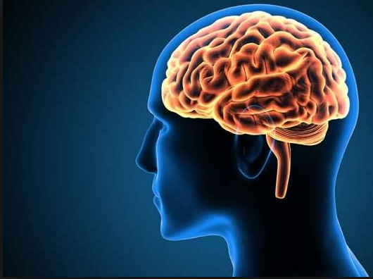 Stretching my brain — 5/31/19. That's all this is. It's been almost… | by  Joel Gunderson | Medium