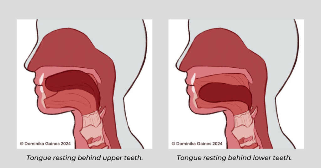 Exploring Tongue Placement for Postural Alignment and Stability - GYROTONIC®